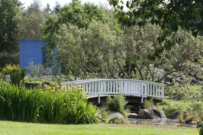 A bridge in the botanical garden