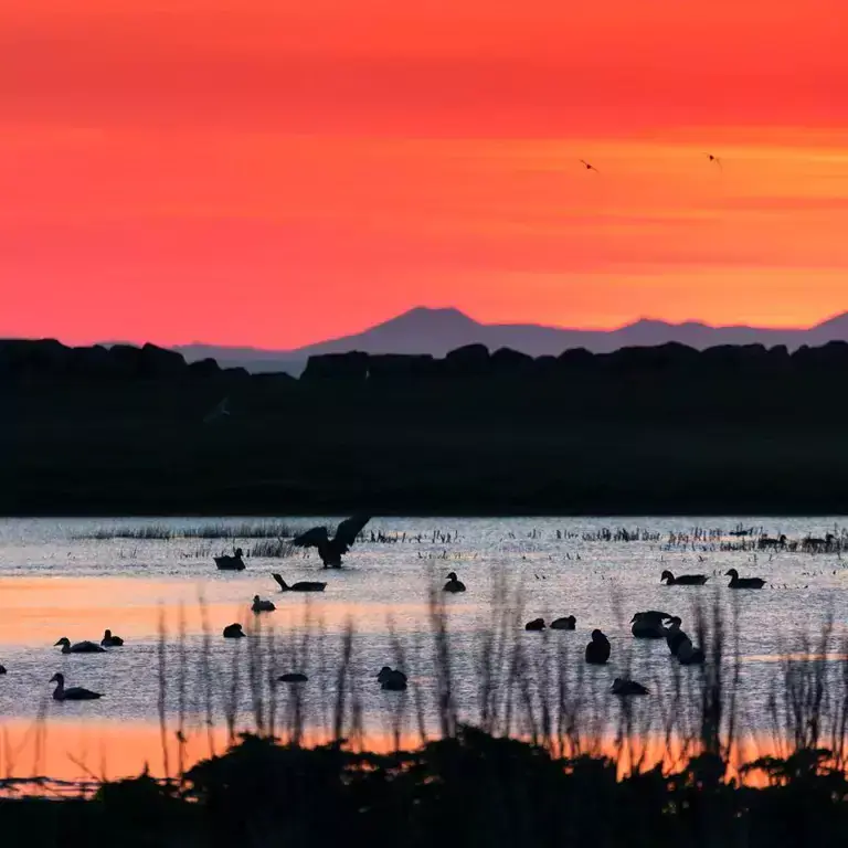 Bakkatjörn pond during sunset